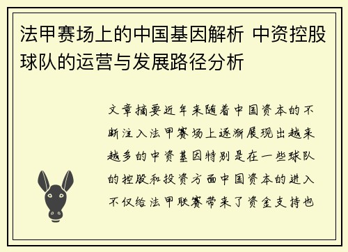 法甲赛场上的中国基因解析 中资控股球队的运营与发展路径分析