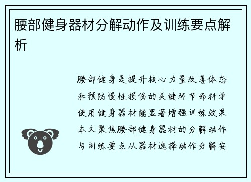 腰部健身器材分解动作及训练要点解析